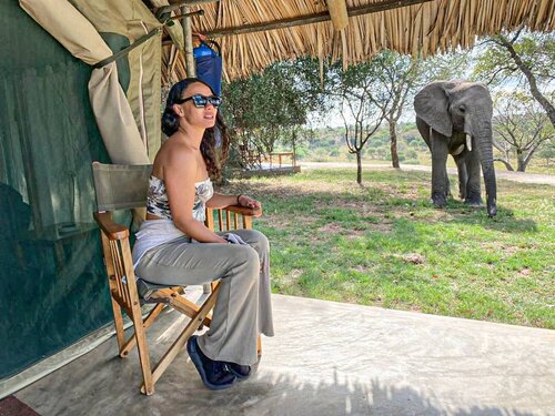 Day Trips & Short Safaris