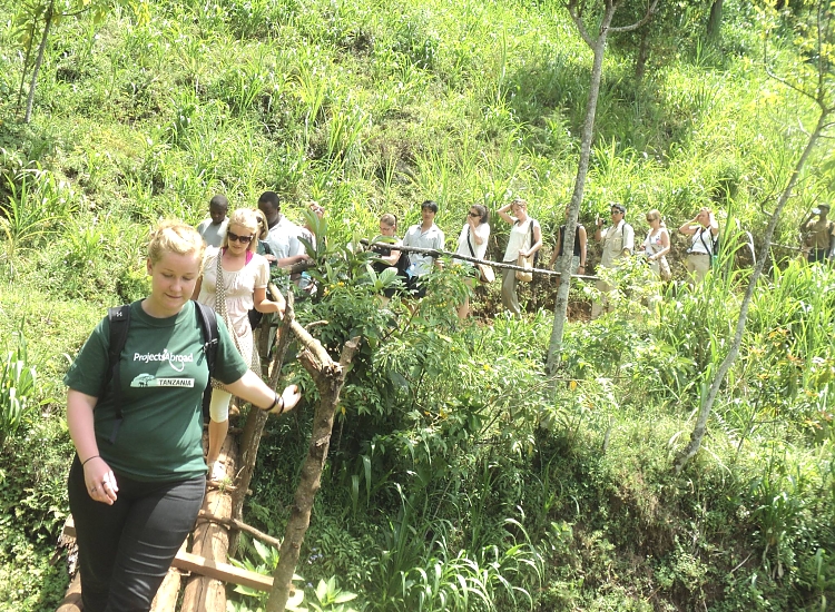 Marangu Waterfalls