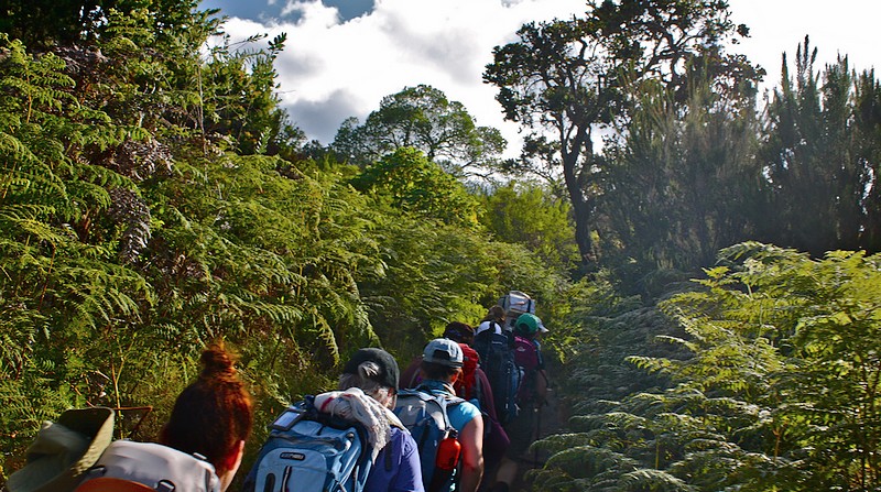 Marangu Route